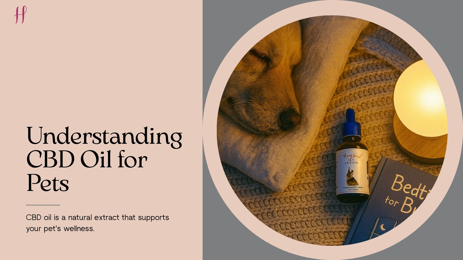 Understanding CBD Oil for Pets